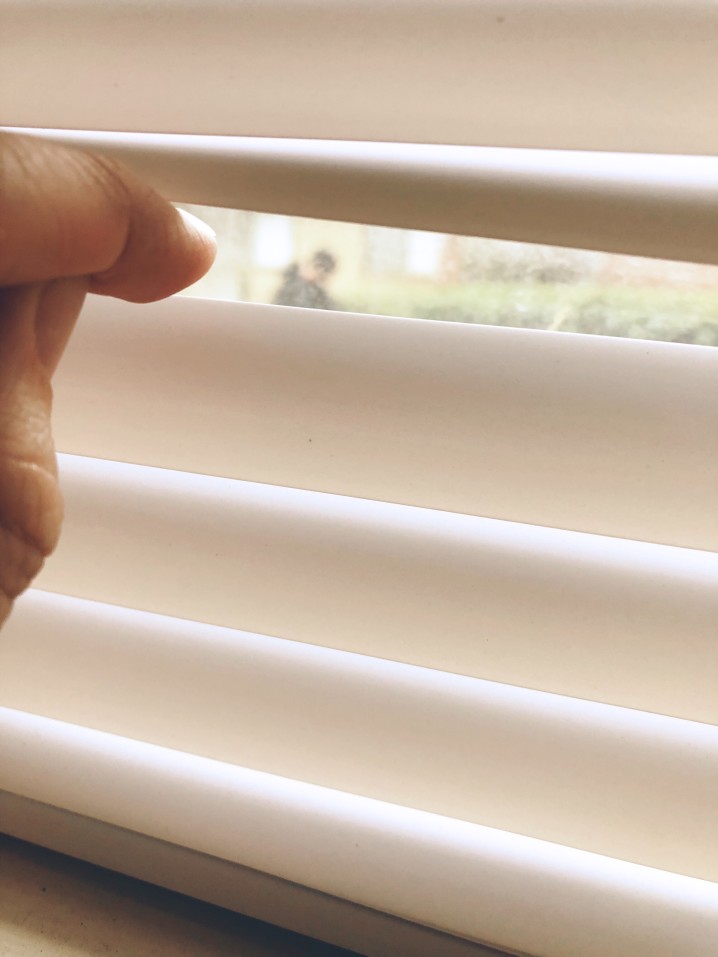 Selecting the Best Blinds for Law Firms